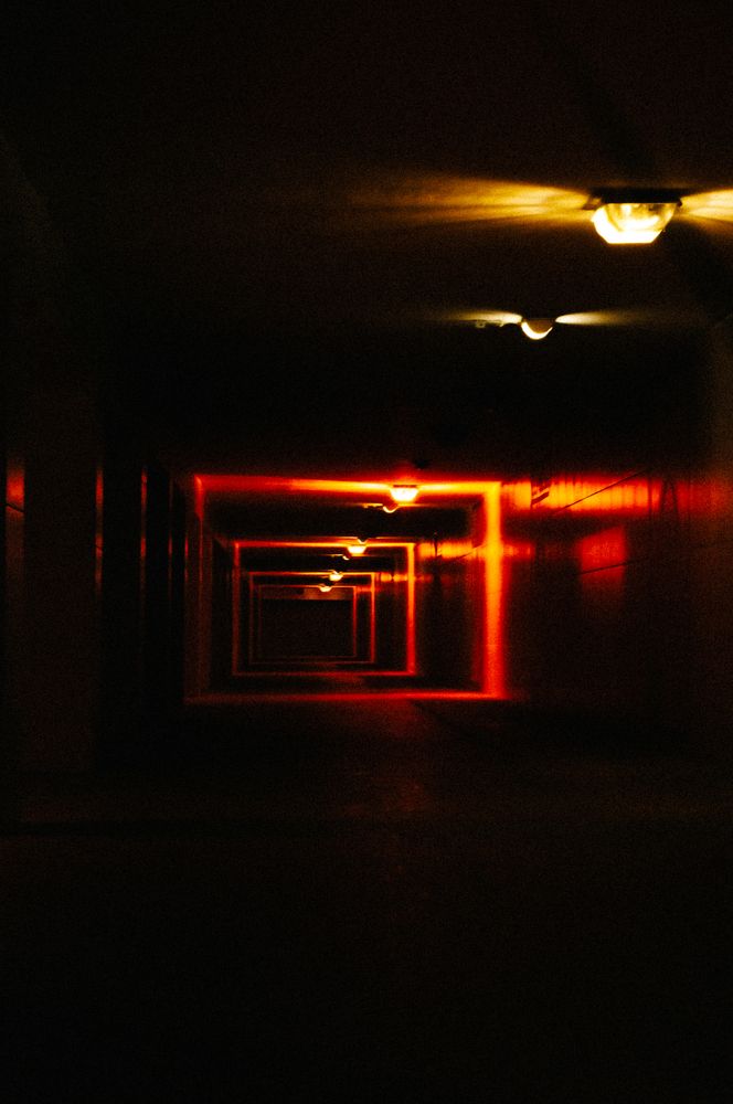 Photograph by Елена Леонидовна