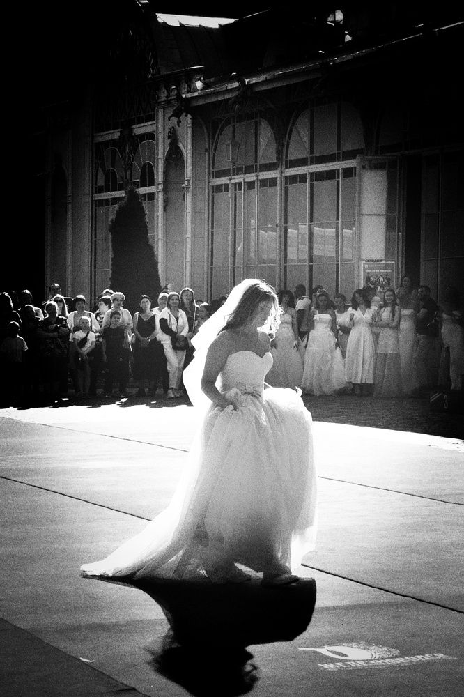 Photograph by Владимир Кривенко