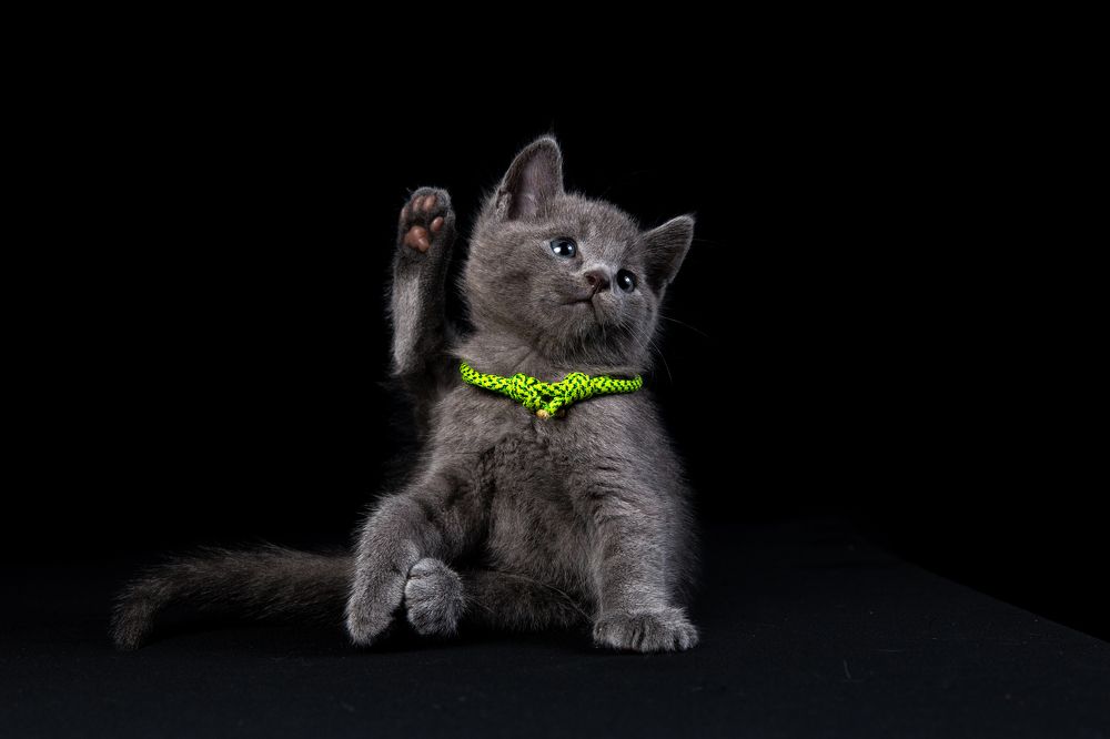 Photograph by Ильяс Бекмансуров