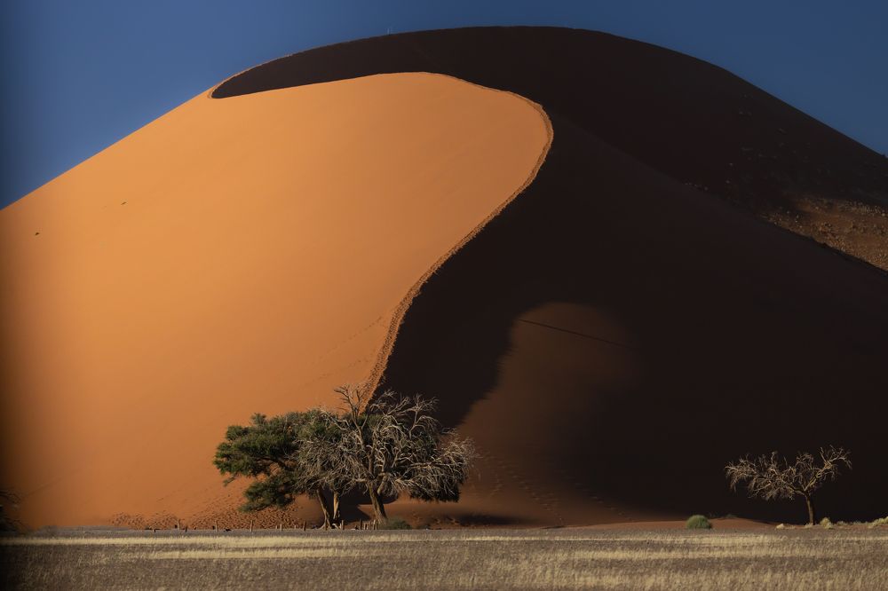 Photograph by Rémi Vacher