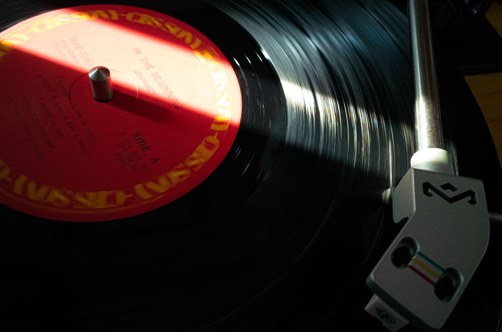 Photograph by Коротков Евгений