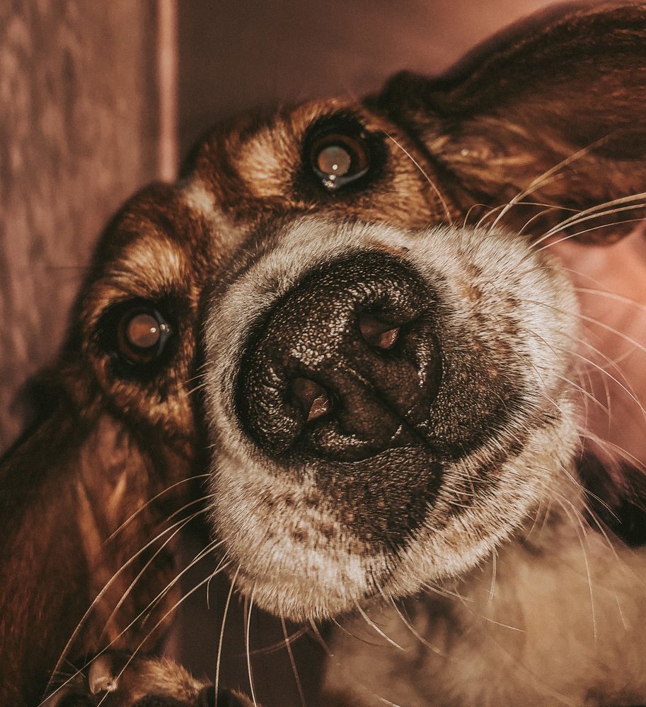 Photograph by Светлана Гринкевич