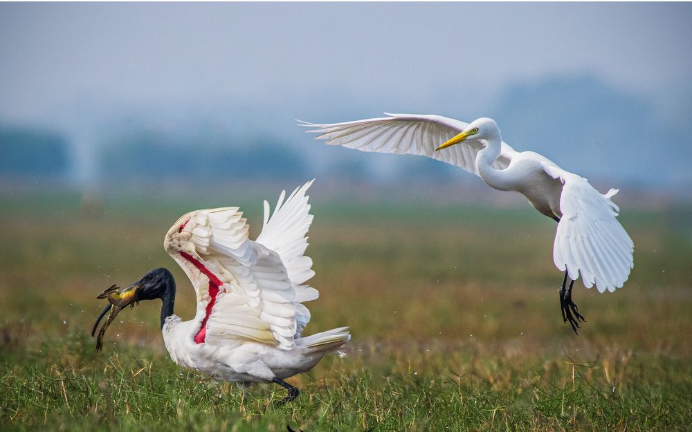 Photograph by Deepak Kathait