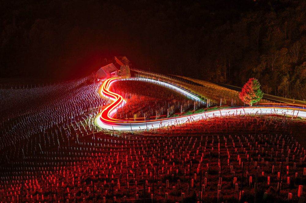 Photograph by Adamov Eddie