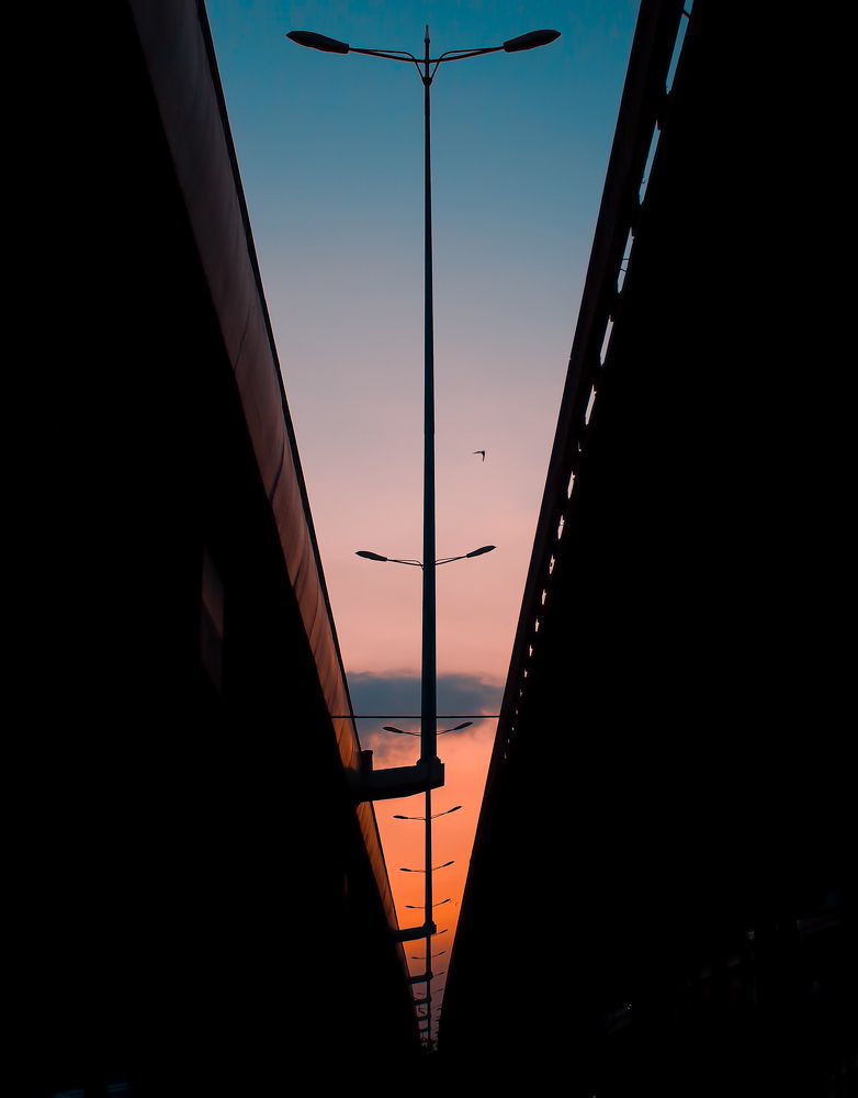 Photograph by Chau Nguyen