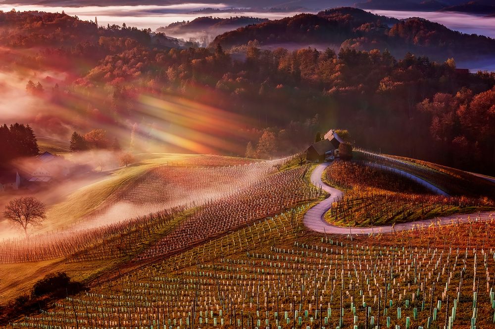 Photograph by Adamov Eddie