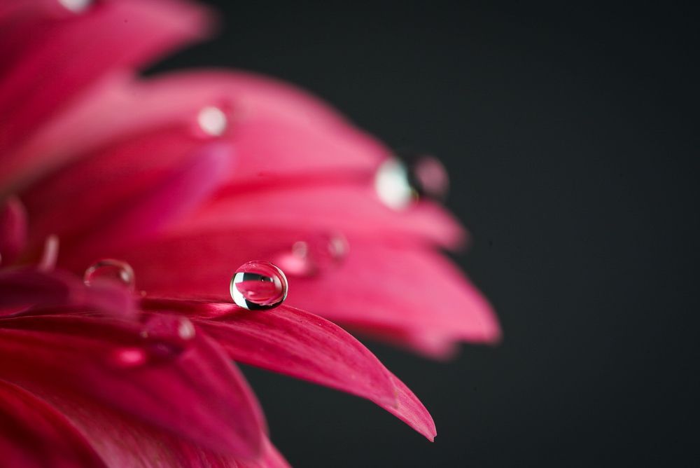 Photograph by Nada Taresh