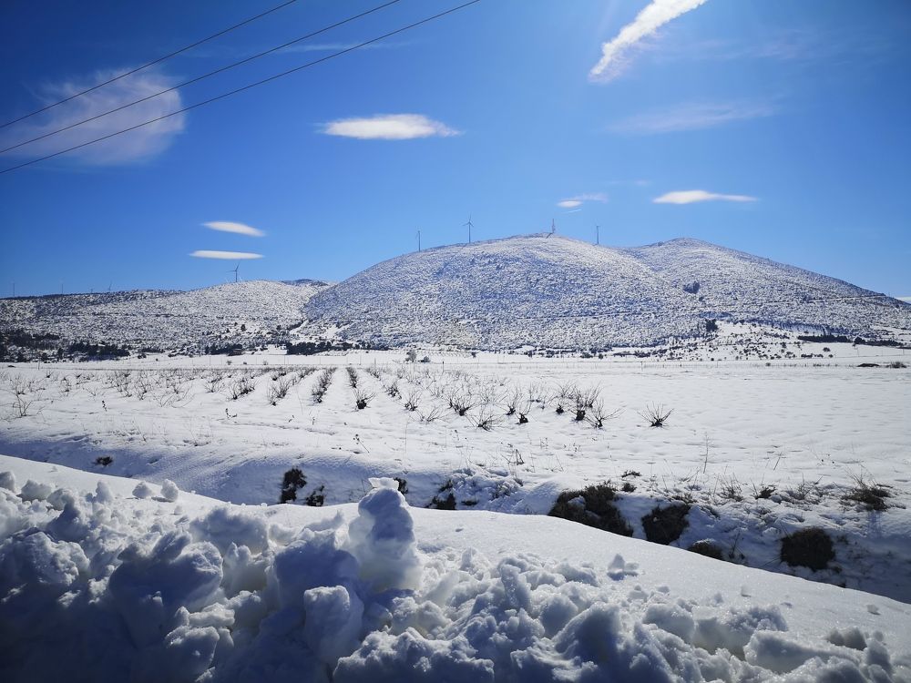 Photograph by MARIA TSITOURA