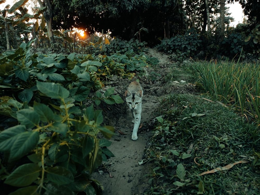 Photo #8828587