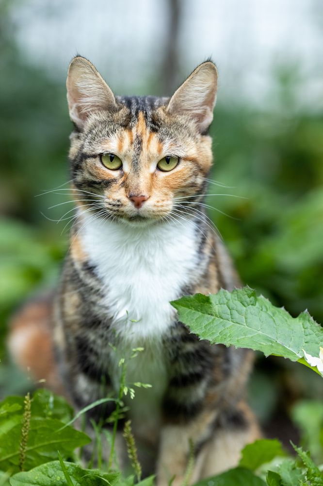 Photograph by Надежда Крюкова