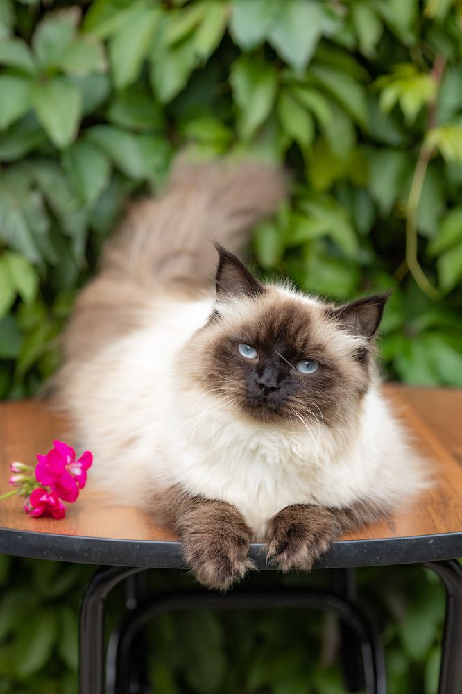 Photograph by Надежда Крюкова