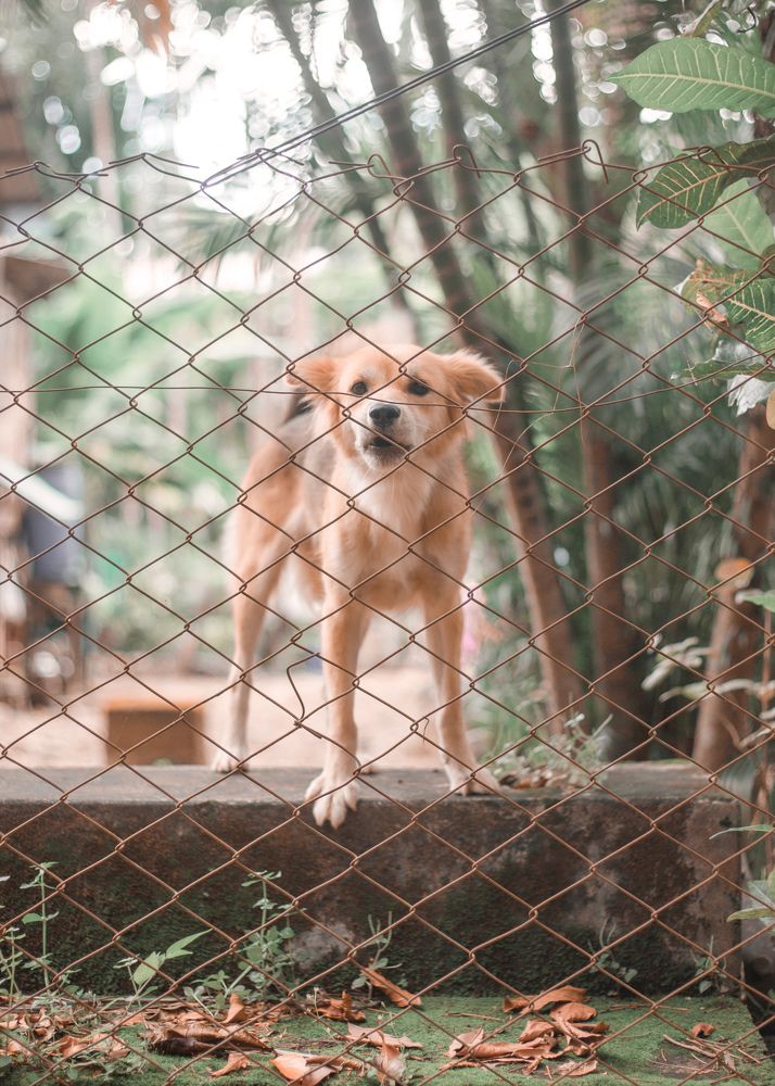 Photograph by Htun Linn Satt