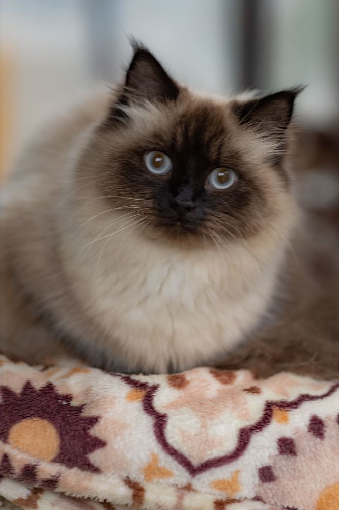 Photograph by Надежда Крюкова