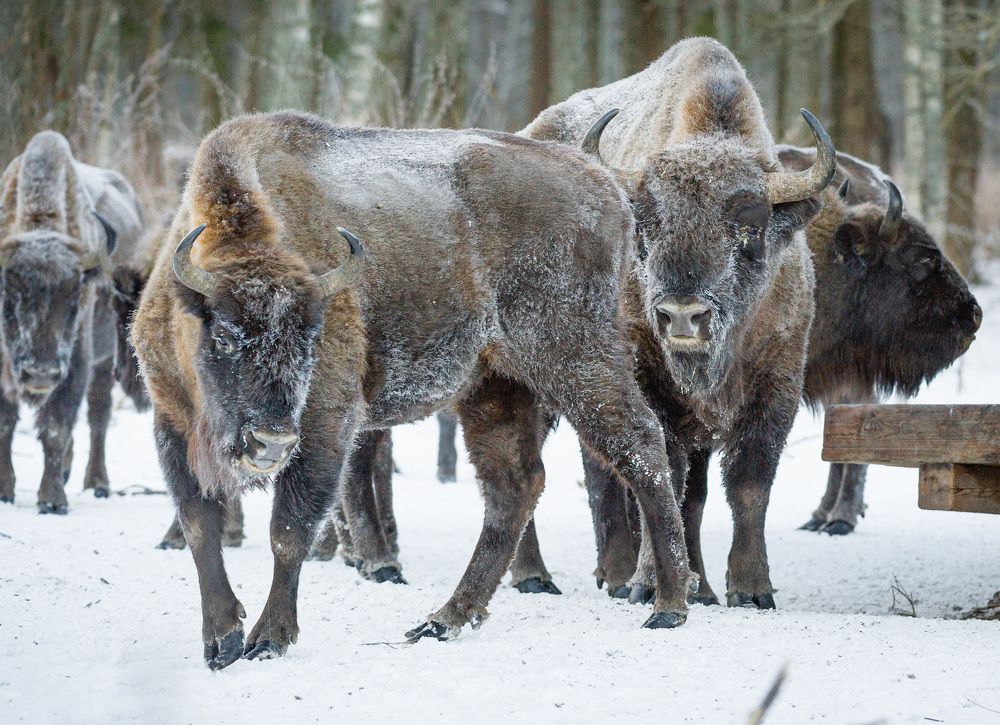 Photograph by Ольга Аблекова