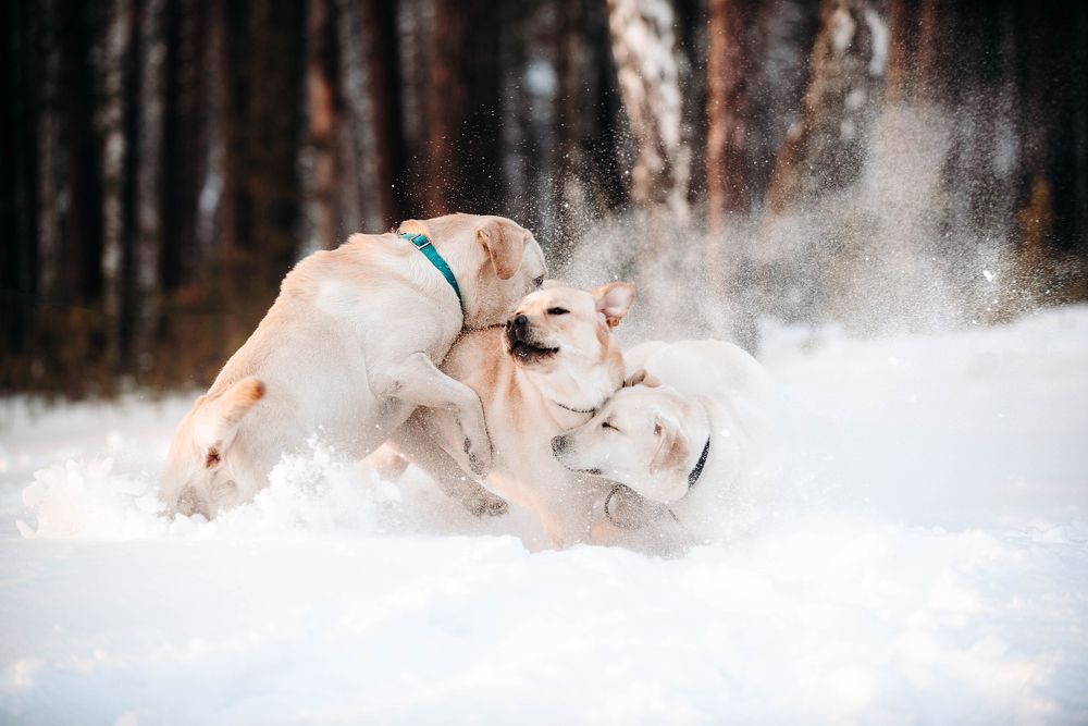 Photograph by Измайлова Ксения