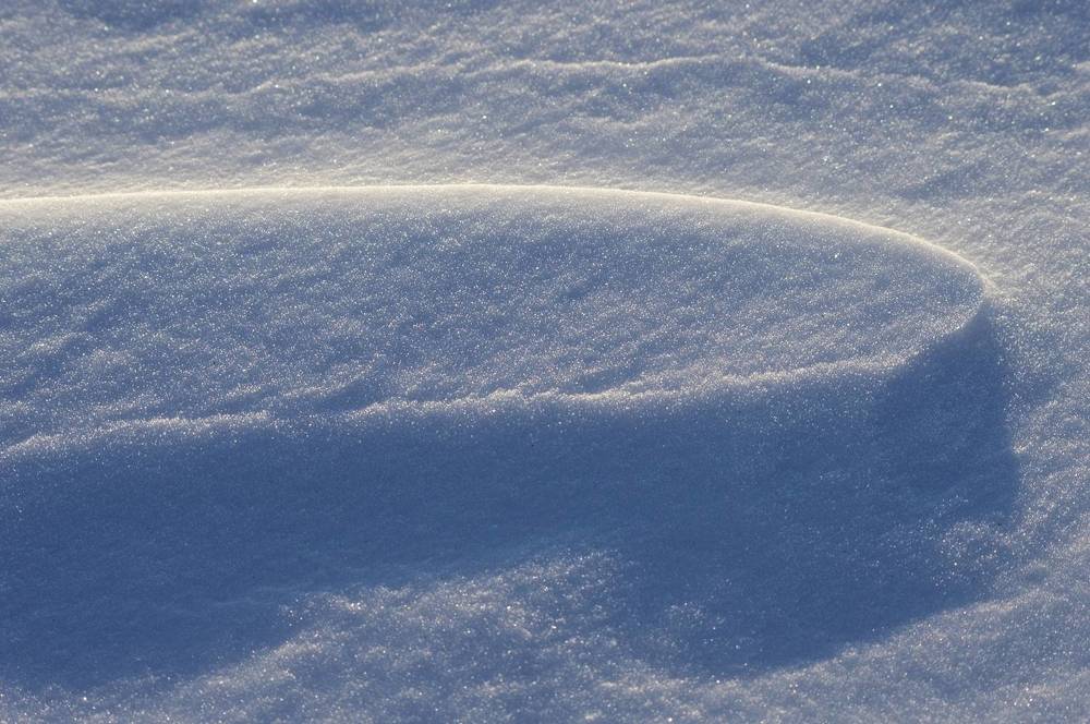 Winter abstraction in nature.