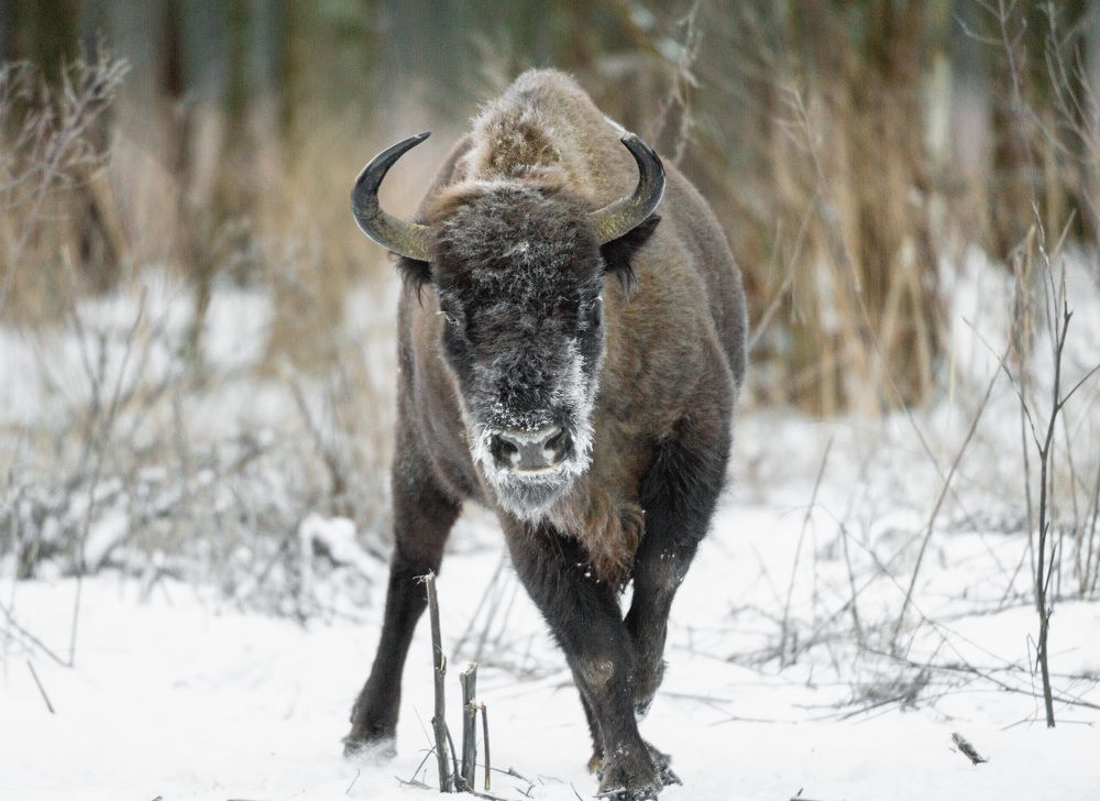 Photograph by Ольга Аблекова