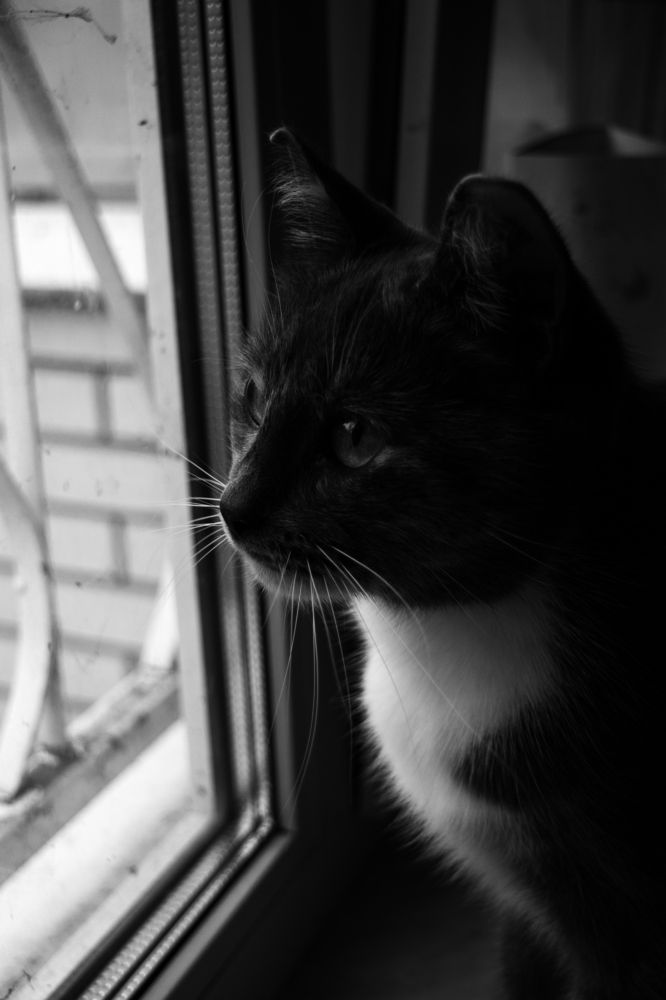 Photograph by Ирина