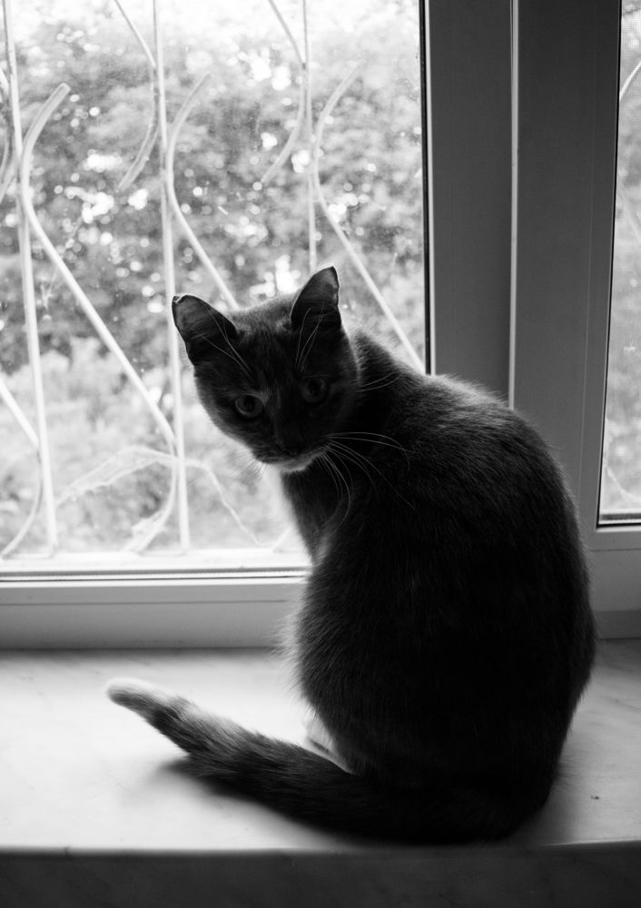 Photograph by Ирина