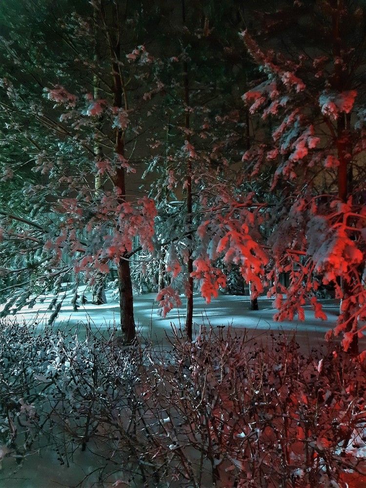 Зимние краски