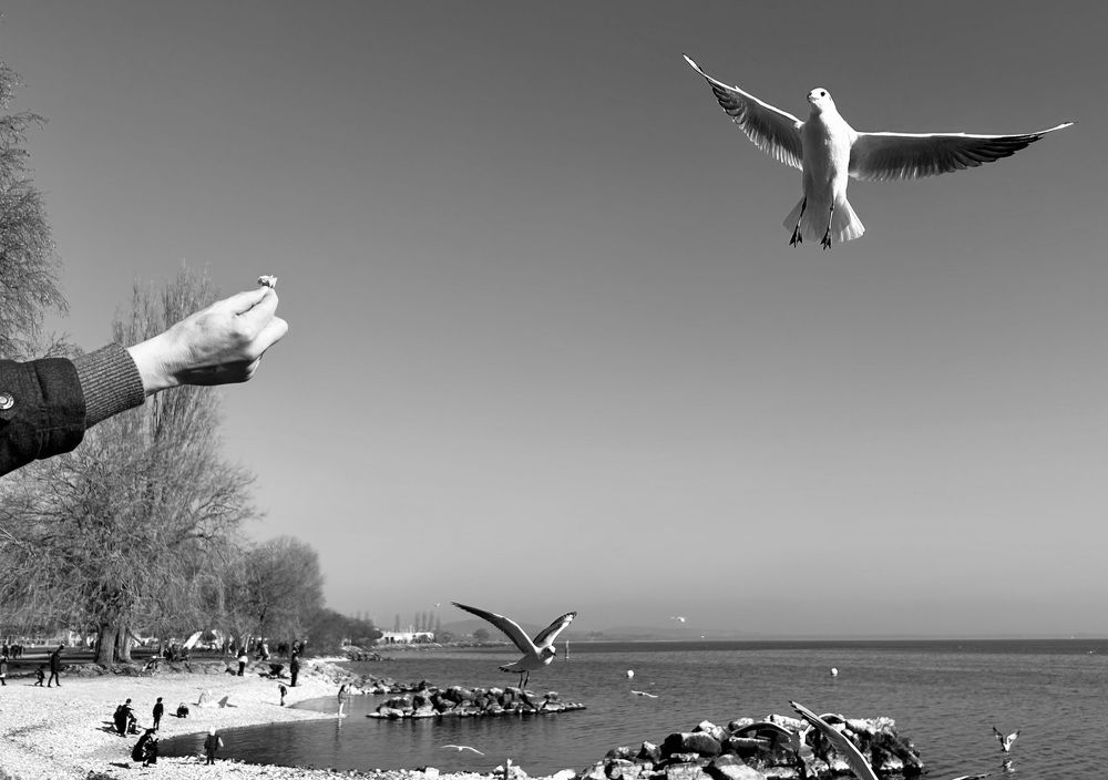 Photograph by Veronika Salerno