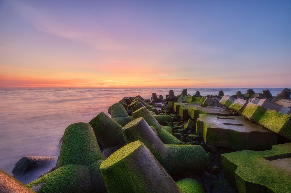 Photograph by Tuấn Nguyễn Tấn