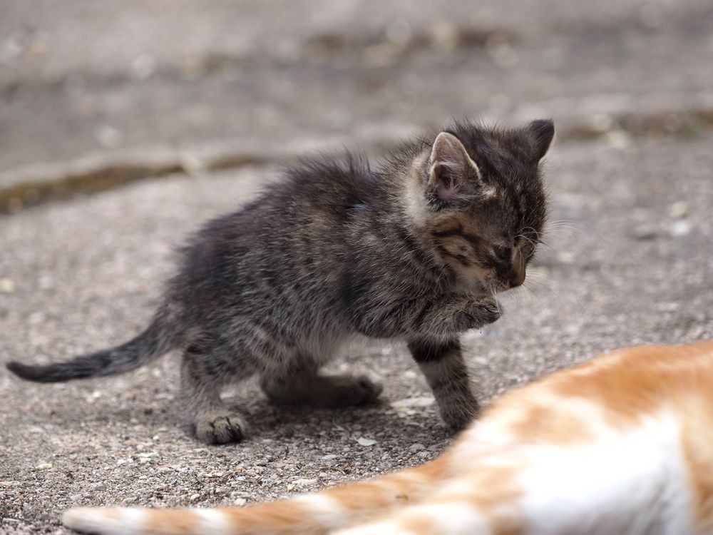 Photograph by Сергей Борисов