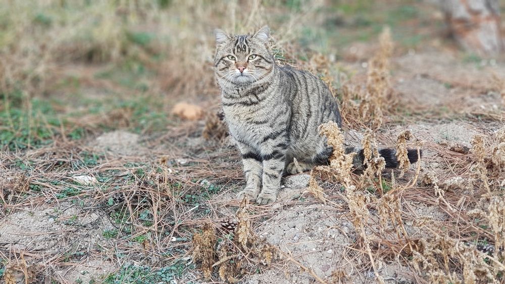 Photograph by Mahmut YILMAZ