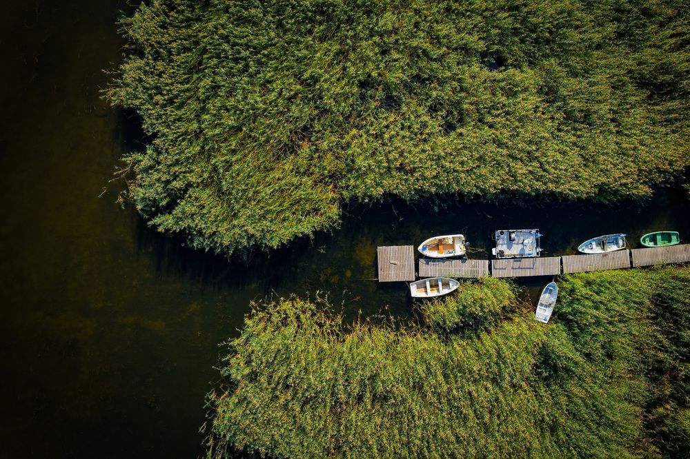 Photograph by Дмитрий Степаненко