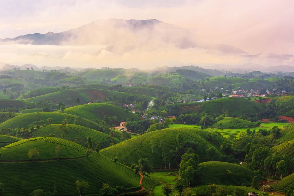 Photograph by Duc Nguyen