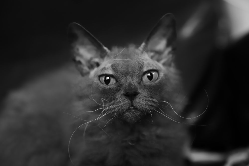 Photograph by Евдокия Спуре