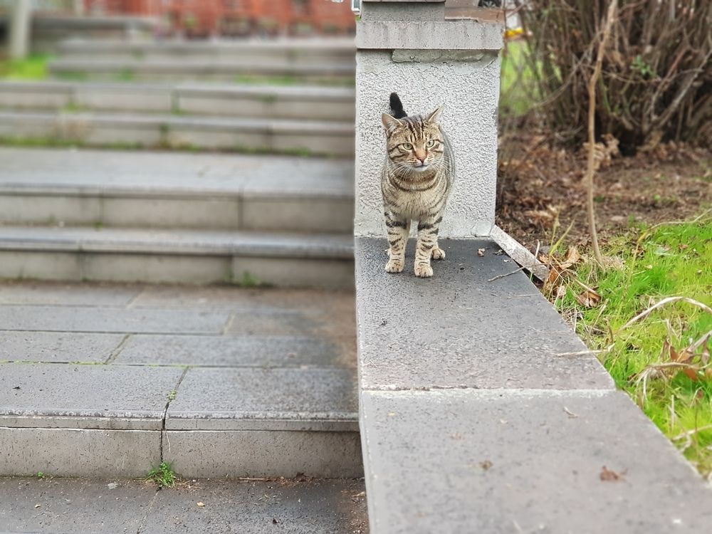 Photograph by Mahmut YILMAZ