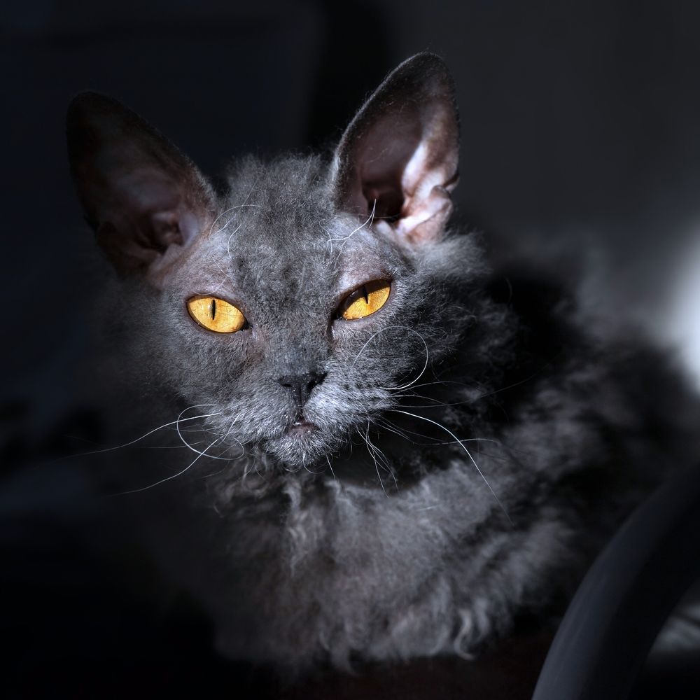 Photograph by Евдокия Спуре