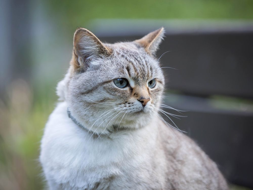 Photograph by Евдокия Спуре