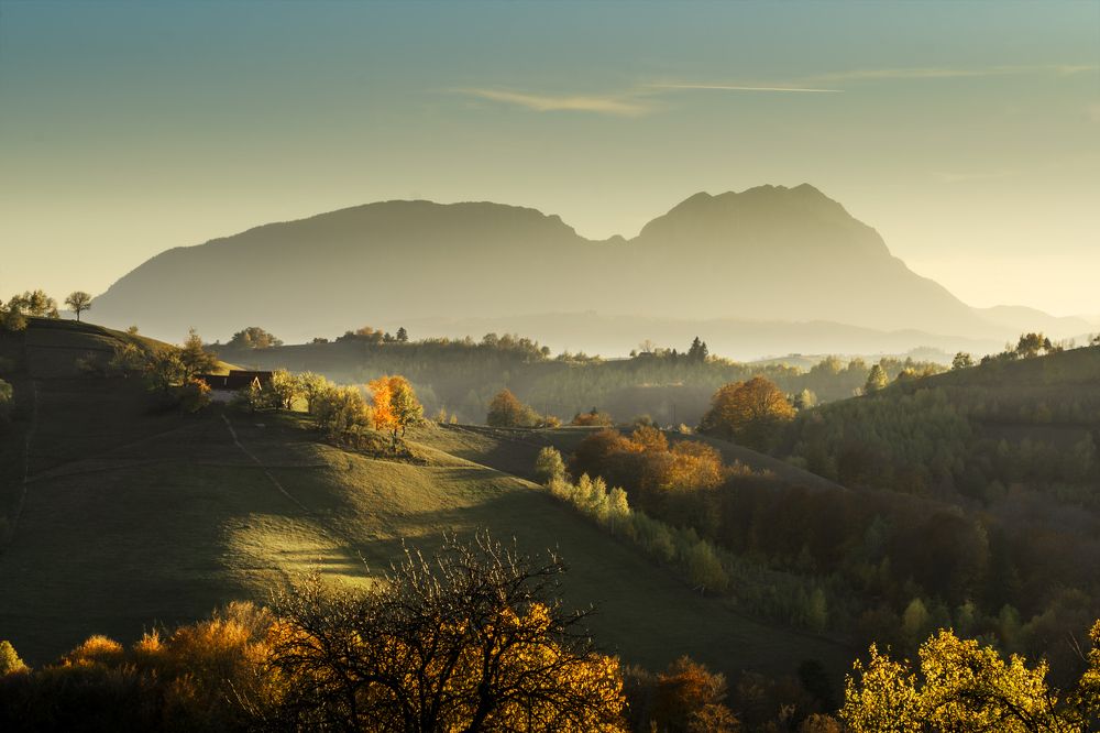 Photograph by Gabriela Vochescu