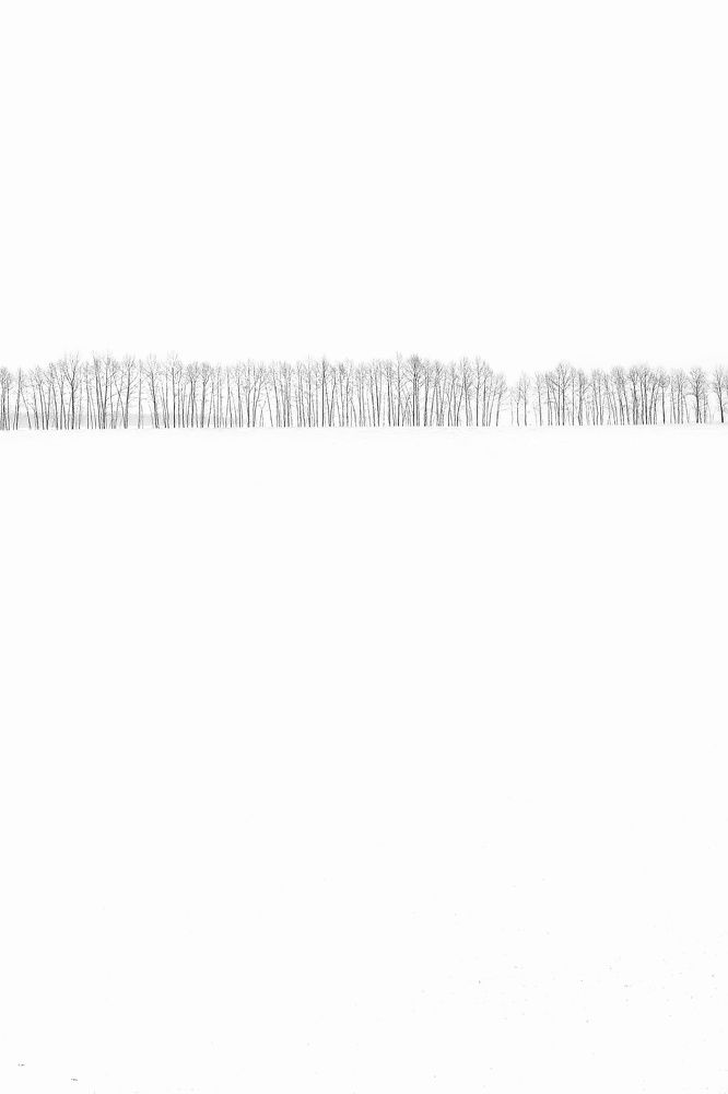 Photograph by Дмитрий Шамин