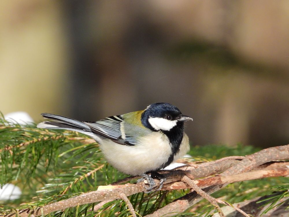 Photograph by Алексей Исаченко