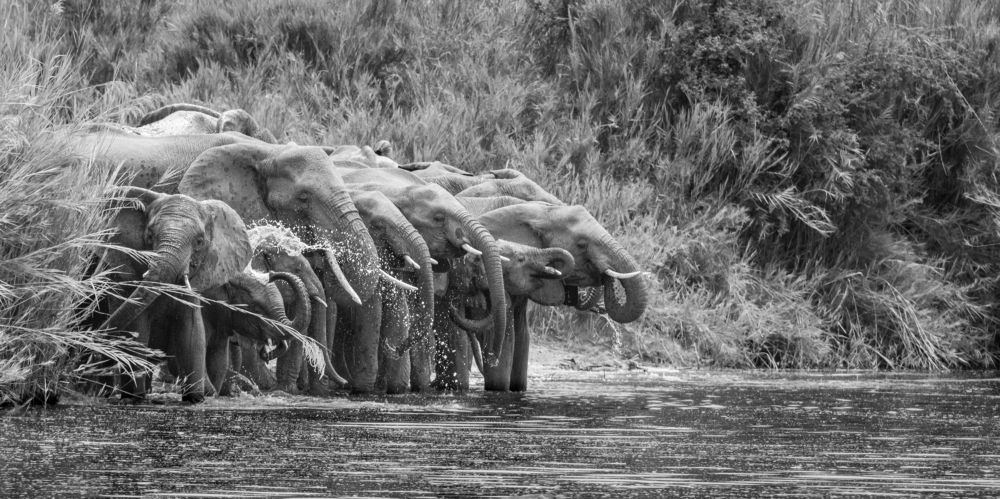 Photograph by Rémi Vacher