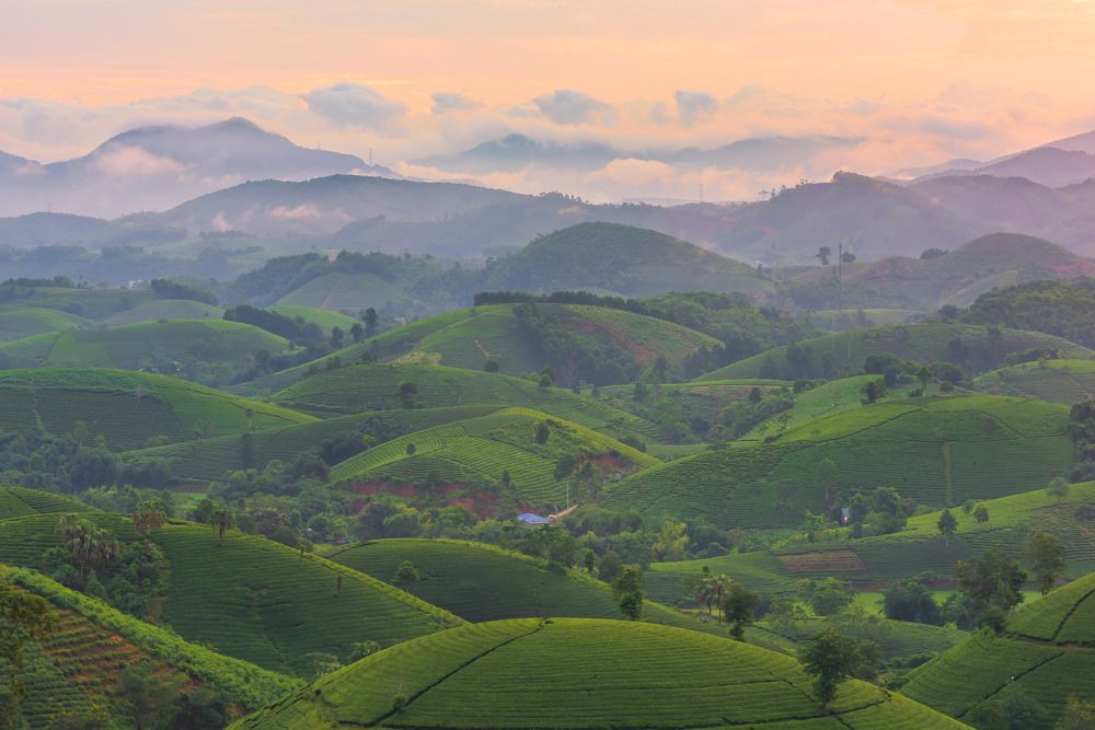 Photograph by Duc Nguyen