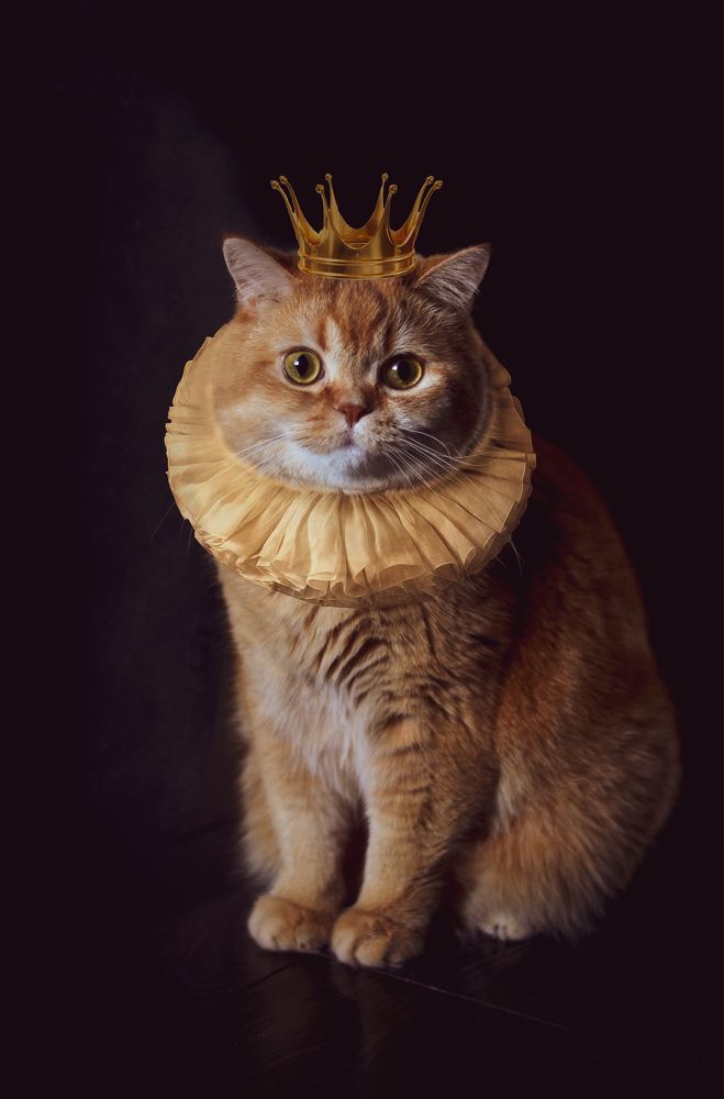 Photograph by Ирина Хламова