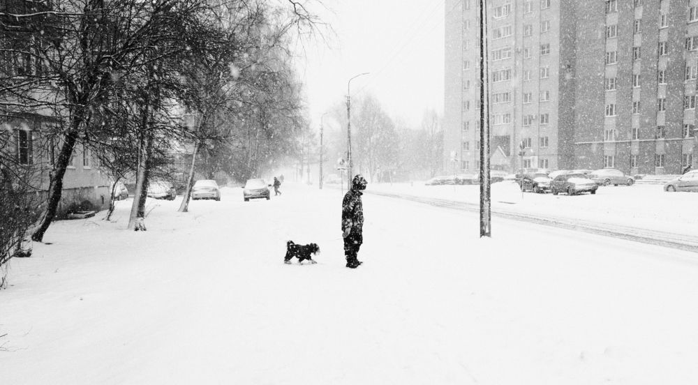 Photograph by Андрей Царев