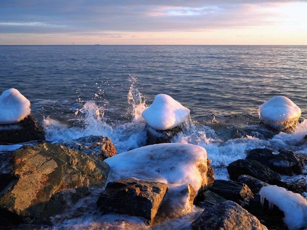 Сахарные головы