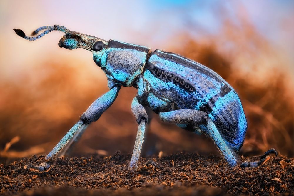 Photograph by Антон Орленко