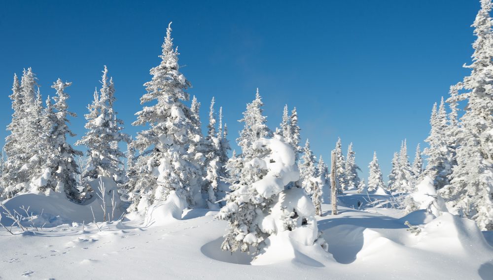 Photograph by Ольга Аблекова