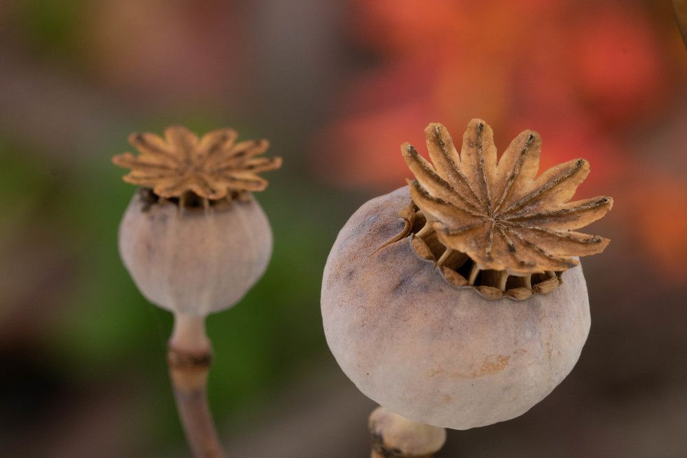 Photograph by Paul Mare