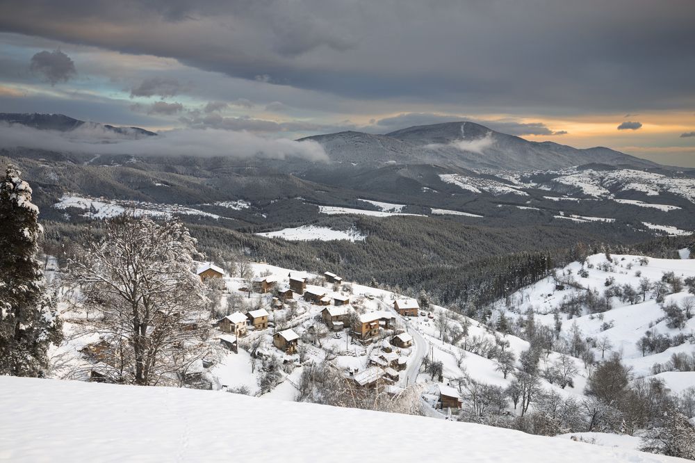 Photograph by Tihomir Stoykov