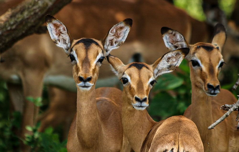 Photograph by Paul Mare