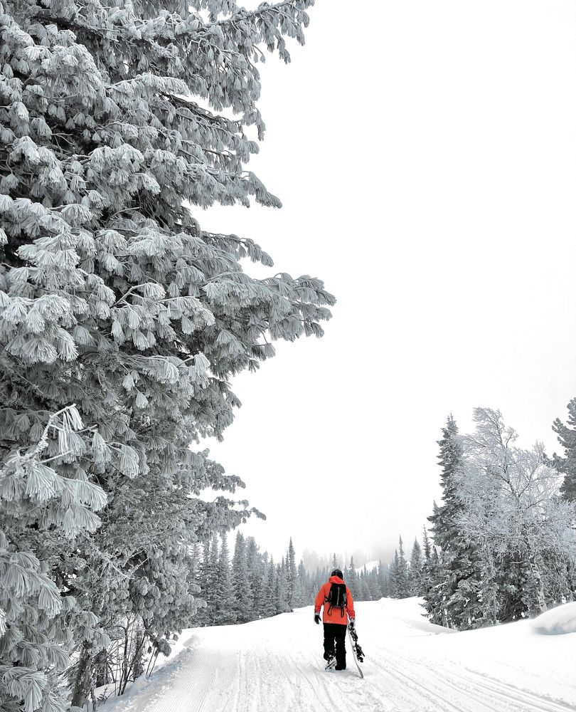 Фотография автора Olga