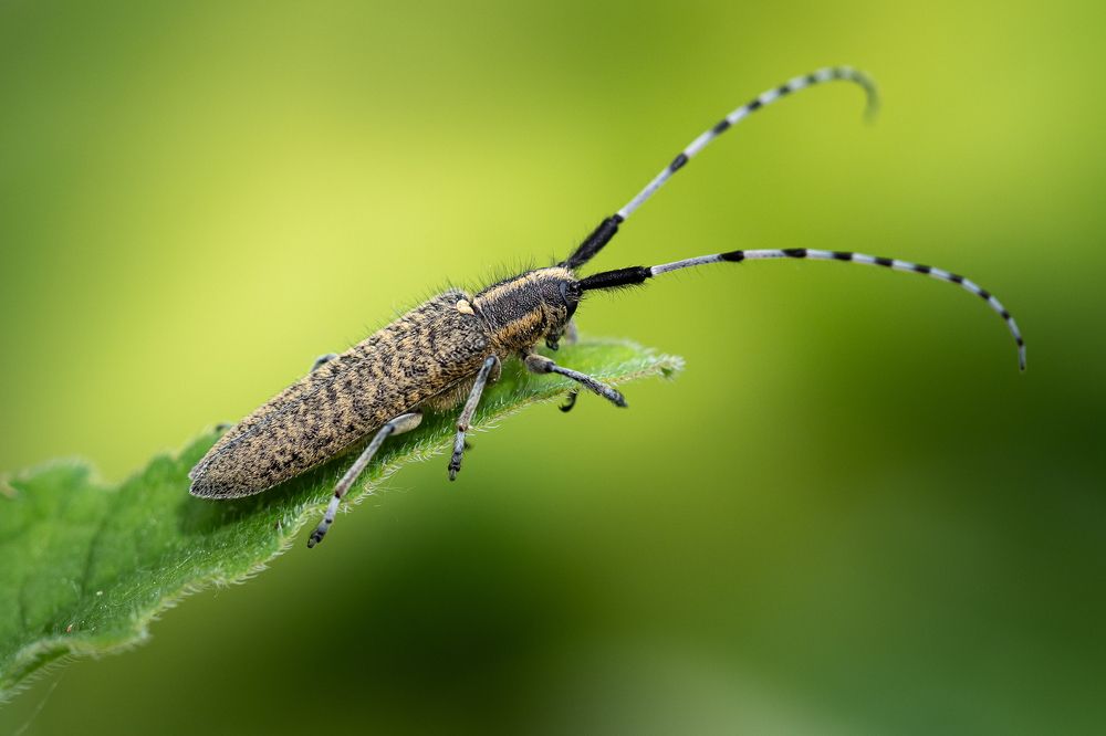Фотография автора Петр Богомазов
