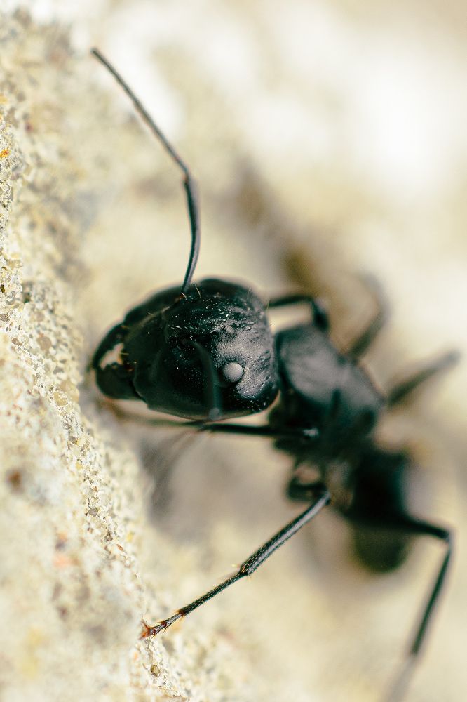 Photograph by Александр Казак